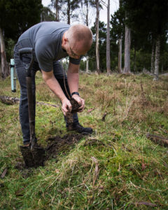 Glenn planting Eucalyptus seedlings